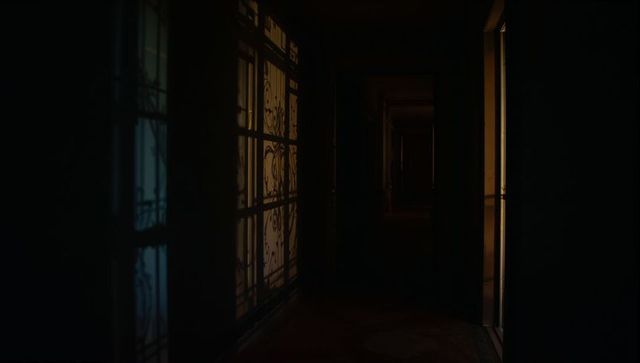 Ornate Screen Shadows in Historical Corridor