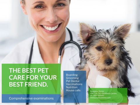 veterinarian holding bandaged puppy for pet health promotion - Download Free Stock Templates Pikwizard.com