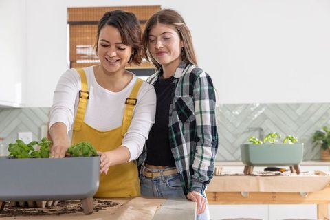 Multicultural women planting herb seedlings in sunlit kitchen with modern planter