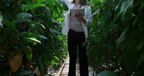 Agronomist Analyzing Plant Growth in Greenhouse