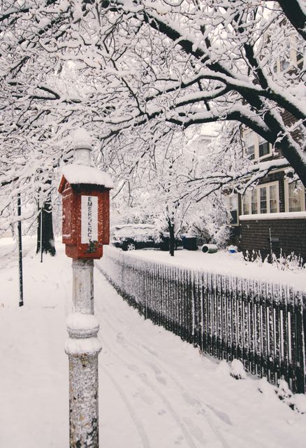 Snow-covered emergency box on a residential street with trees and fence blanketed in snow. Suitable for winter scenes, urban landscapes, vintage, neighborhoods, or emergency preparedness themes.