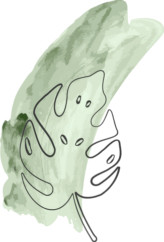 Transparent monstera leaf illustration with watercolor background