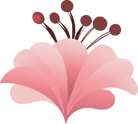 Transparent blossom vector with elegant pink petals on transparent background