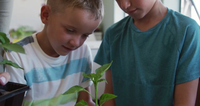 Children Learning About Plants Indoors - Download Free Stock Images Pikwizard.com