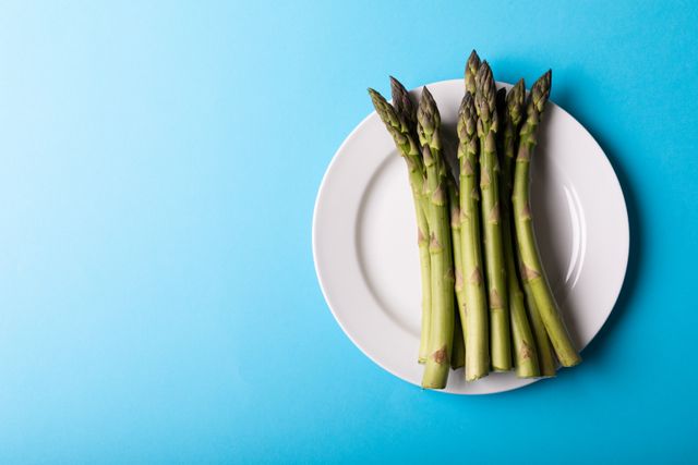 Fresh asparagus spears arranged on a white plate against a vibrant blue background. Ideal for use in healthy eating promotions, organic food advertisements, vegan and vegetarian lifestyle content, and clean eating blogs.