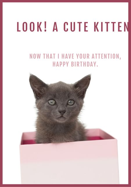 Adorable grey kitten peeks out of a pink box with a friendly 'Look! A cute kitten' message. Ideal for heartwarming birthday greetings and spreading joy. Perfect for animal lovers and gift-shop displays.