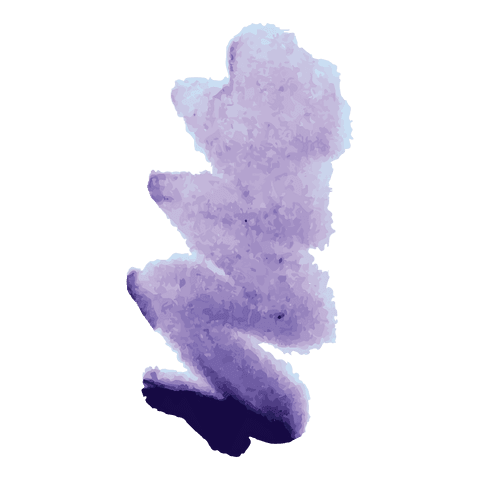purple watercolor texture on transparent background - Download Free Stock Videos Pikwizard.com