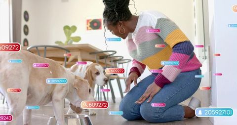 Kneeling woman feeding dogs with augmented reality pet id tags in bright modern kitchen space