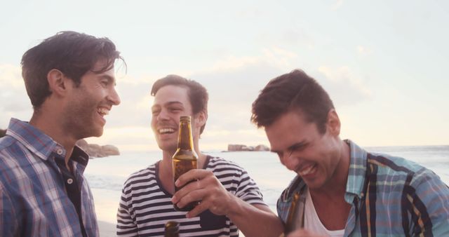 Friends Enjoying Beverages on Beach During Sunset - Download Free Stock Images Pikwizard.com