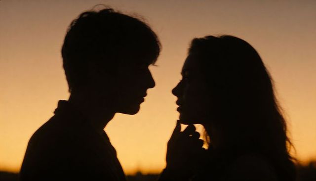 Silhouetted couple sharing intimate sunset moment while touching chin romantic twilight