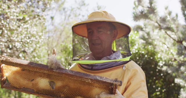 Senior caucasian male beekeeper in protective clothing cleaning honeycomb frame from a beehive. apiary and honey making, small agricultural business and hobby.