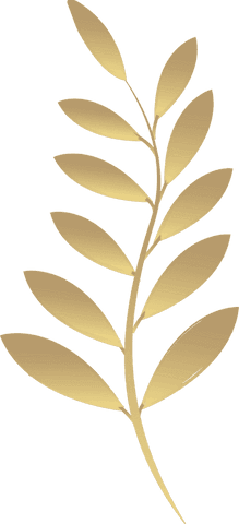 elegantly decorated golden leafy branch with floral gradient - Download Free Stock Videos Pikwizard.com