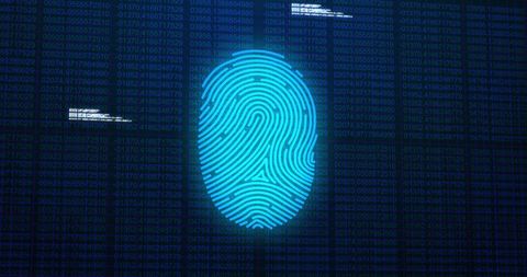digital fingerprint interface with data integration - Download Free Stock Images Pikwizard.com