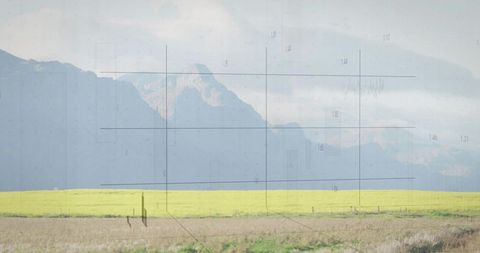 Vast yellow canola field stretching to mountain ridge with overcast sky and grid overlay