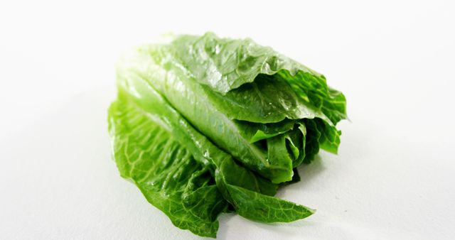 Close-up of lettuce against white background - Download Free Stock Photos Pikwizard.com