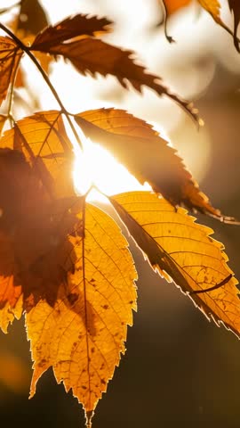 Sunlit Autumn Leaves Swaying in Breeze with Flickering Droplets Vertical Video