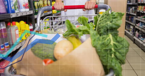 Digital Data Overlaid on Shopping Experience Concept