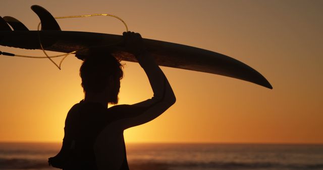 Surfer Carrying Surfboard at Sunset on Beach - Download Free Stock Images Pikwizard.com