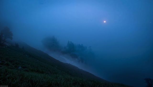 Moonlit mist rolling over conifer ridge and sloping grassy hillside at blue hour