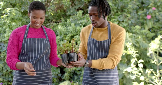 African american couple holding plants in garden. Nature, gardening, togetherness and domestic life concept, unaltered.