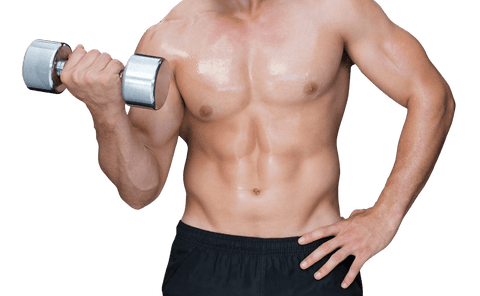 Strong fit male holding dumbbell transparent background