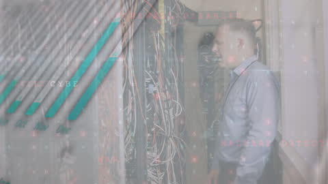 Digital Network Engineer Analyzing Server Systems