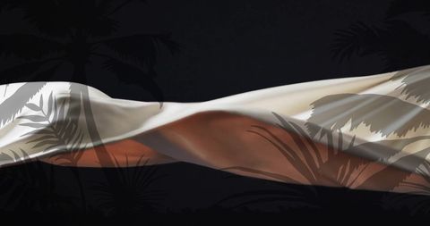 Elegant Palm Tree Silhouettes Against Silk Background