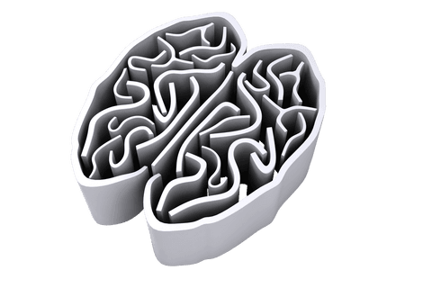 transparent digital brain model with abstract neural patterns - Download Free Stock Videos Pikwizard.com