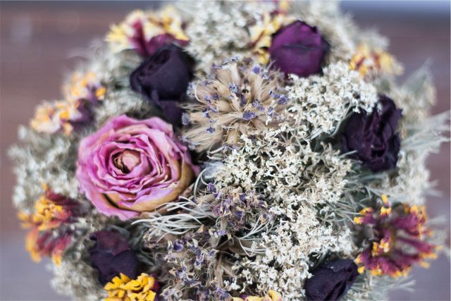 Dried flowers in close-up show intricate details, blending colorful, natural elements in a beautiful arrangement. Useful for designs related to nature, floral decorations, and art, highlighting texture and contrast.