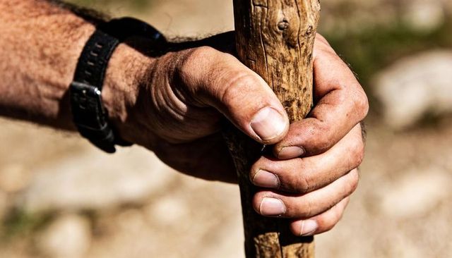 Weathered hands gripping wooden walking stick on sunlit rocky trail, outdoor texture