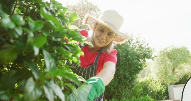 Woman Enjoying Gardening Outdoors, Planting and Pruning - Download Free Stock Images Pikwizard.com