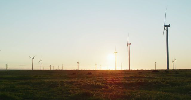 Wind turbines in countryside landscape with cloudless sky at sunset. environment, sustainability, ecology, renewable energy, global warming and climate change awareness.