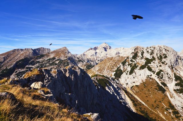 A stunning view of rugged mountain peaks with birds soaring in the clear blue sky. Perfect for promoting outdoor adventures, hiking tours, and nature-focused campaigns. Ideal background for travel blogs, adventure magazines, and scenic beauty advertisements.