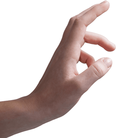 Elegant Female Hand Making Gesture Transparent Background - Download Free Stock Videos Pikwizard.com