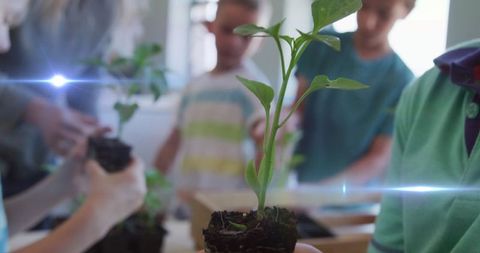 Engaged schoolchildren learning plant science indoors