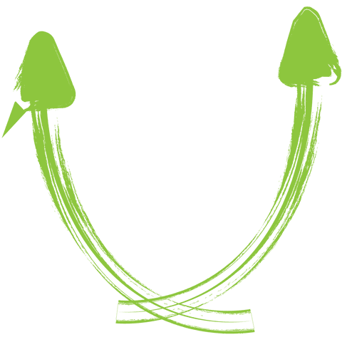 green curved arrows with transparent background for infographics - Download Free Stock Videos Pikwizard.com