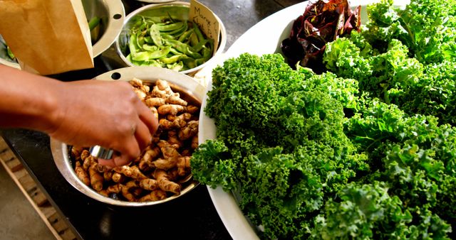 Person Preparing Fresh Vegetables and Herbs in Kitchen - Download Free Stock Images Pikwizard.com