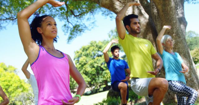 Diverse Group Practicing Yoga Outdoors in Park Setting for Wellness - Download Free Stock Images Pikwizard.com