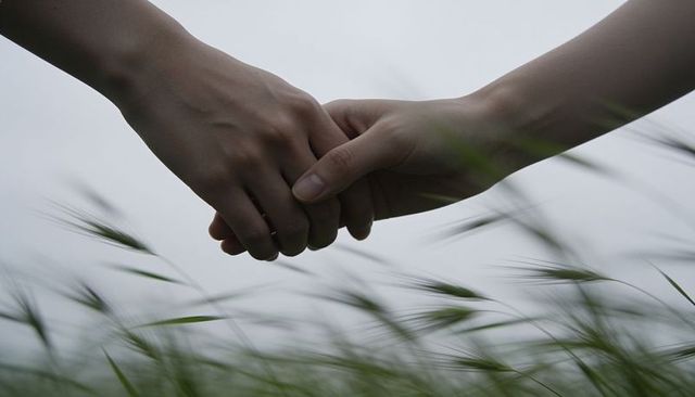 Two hands holding in windy meadow showing tender connection and quiet intimacy