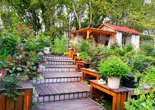 Charming Wooden Terrace with Lush Greenery and Garden Shed - Download Free Stock Photos Pikwizard.com