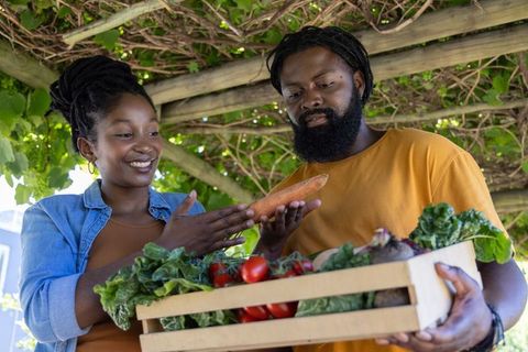 African couple harvesting fresh organic vegetables from wooden crate under pergola