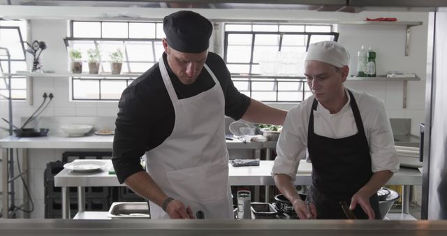 Chefs Preparing Food in Professional Restaurant Kitchen - Download Free Stock Images Pikwizard.com