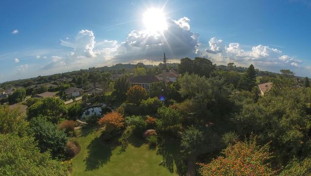 Sunlit Suburban Landscape with Lush Garden and Cloud Formations