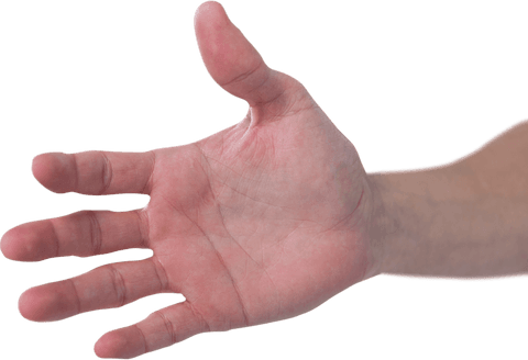 open palm hand on transparent background for creative use - Download Free Stock Videos Pikwizard.com