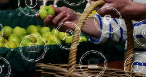 Selecting green apples at farmers market inspecting produce with wicker basket and icons