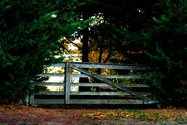 Wooden gate giving entrance to a secluded forest area, surrounded by lush greenery and autumn foliage. Ideal for use in themes related to nature, peace, countryside living, and outdoor adventures. Can be used in blogs, websites, or marketing material focusing on rural lifestyle, natural beauty, or as a background for artistic projects.