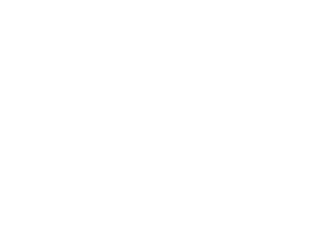 holly leaves with berries transparent vector illustration - Download Free Stock Videos Pikwizard.com