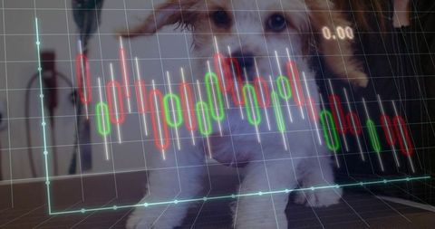 Adorable Puppy and Stock Market Analysis Concept