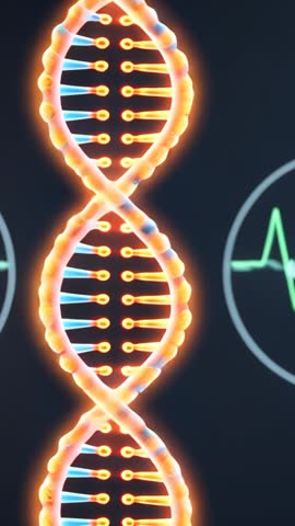 Vertical spinning glowing DNA double helix pulsing base pairs syncing with heart monitor