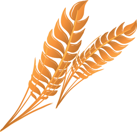 Luxurious overlapping gold fronds on transparent background